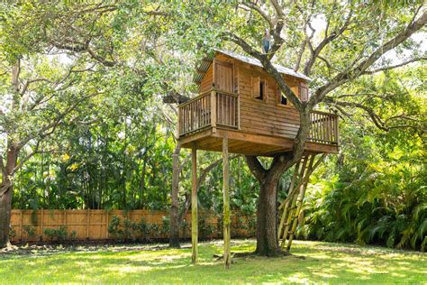 treehouse .